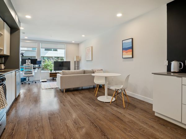 Picture of Untitled Image