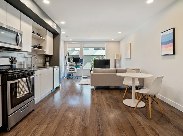 Picture of Untitled Image